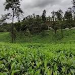 Theni – Wayanad – Theni (2N/3D) 40-Seater Luxury AC Bus