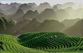 1N/2D Theni to Guruvayur 10+1 Luxury Caravan Image