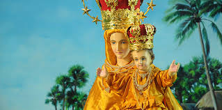 Executive Coach Pilgrimage: Theni to Velankanni & Return