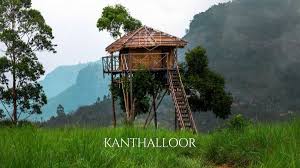Theni, Munnar & Kanthalloor (3 Nights / 4 Days) – Maruti XL6