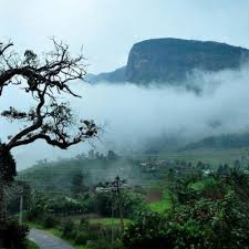 Theni, Munnar & Kanthalloor (3 Nights / 4 Days) – Maruti XL6