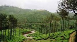 Theni to Vagamon, Thekkady & Idukki Circuit Itinerary (2 Nights / 3 Days) – 40-Seater Luxury Bus Image