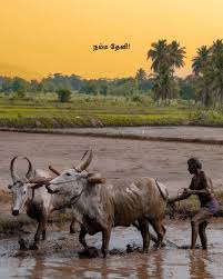 Luxury Group 2 Nights / 3 Days: Theni - Chennai - Theni