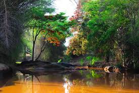 Theni to Ooty & Masinagudi Group Tour (3N/4D) with Rengha Holidays in 45 Seater Bus