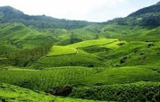 Premium SUV Tour: Theni To Trichy Temple Tour