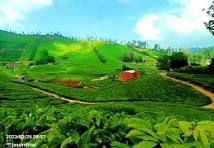 Theni to Ooty & Masinagudi Group Tour (3N/4D) with Rengha Holidays in 53 Seater Bus Image