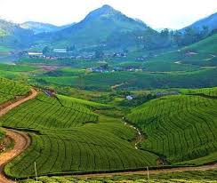 Theni To Madurai Airport (MDU) – Service With Rengha Travels Luxury 7+1 Innova Crista Service