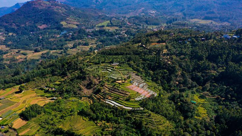 The Cardamom Trail: Theni, Munnar & Kanthalloor Grand Tour Image