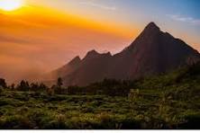 Next-Gen Group Executive Transfer: Madurai to Chennai Egmore (MS) in a Premium 16+1 Force URBANIA Image