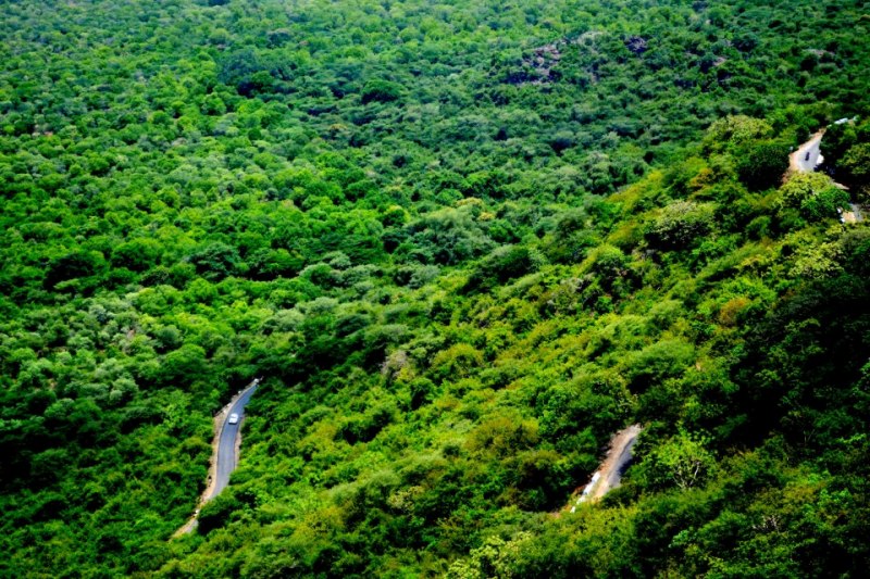Theni To Sirumalai Hills Group Tour (1 Night / 2 Days) With Luxury Bus
