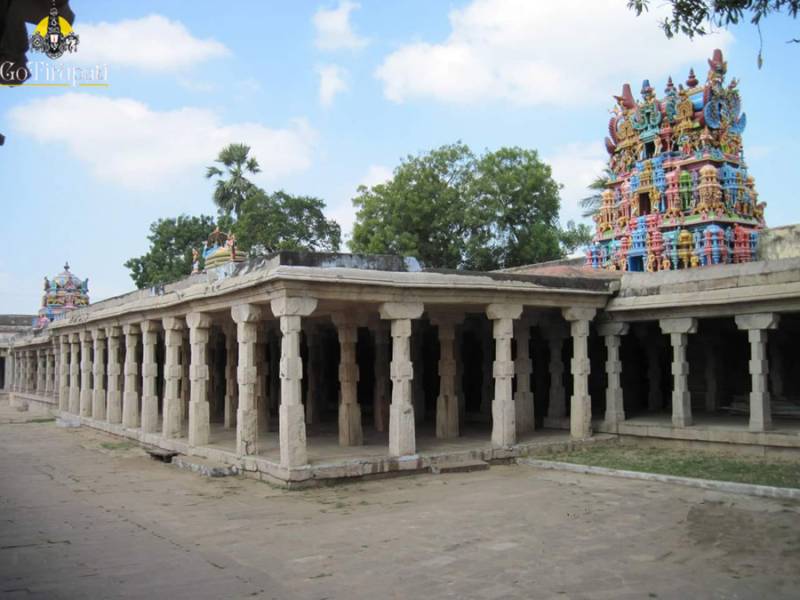 Navathirupathi Temple Yatra wiht  The Devotional Journey Image