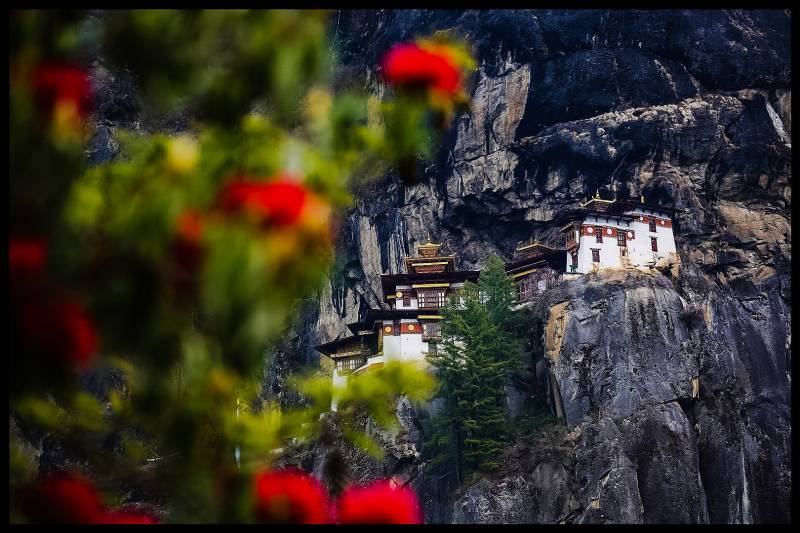 “Discover Bhutan: 6 Days of Peace, Culture & Himalayan Magic.”