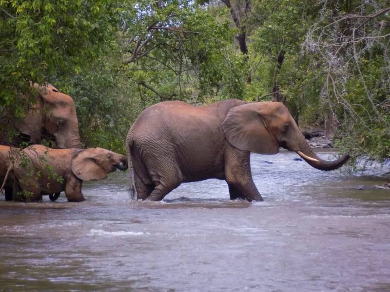 Masai Mara 4 Days Package