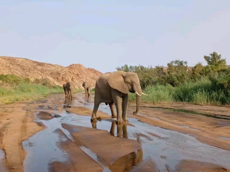 Masai Mara 4 Days Package