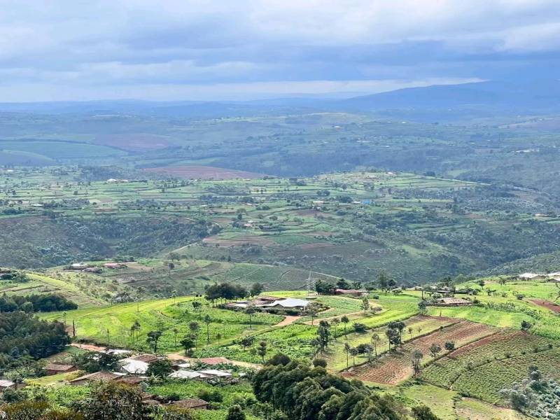 Mountain Climbing Mt. Kenya 6 Days