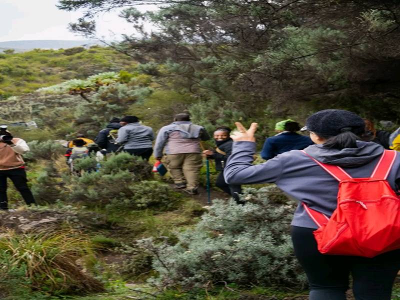 Mountain Climbing Mt. Kenya 6 Days