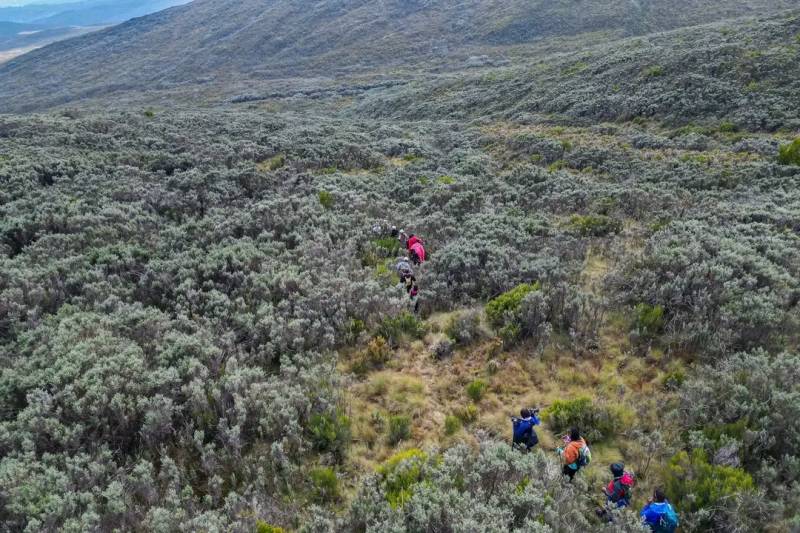 Mountain Climbing Mt. Kenya 6 Days