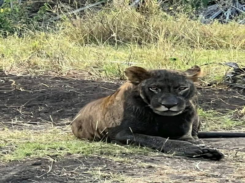 4 Days Safari Lake Nakuru