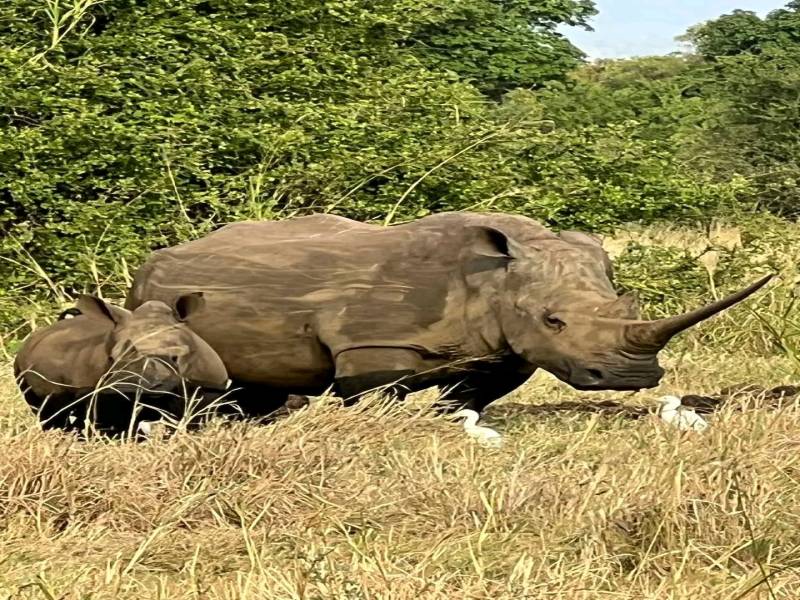 4 Days Safari Lake Nakuru