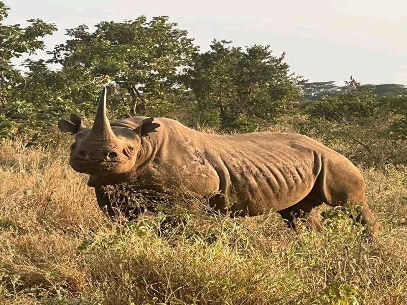 4 Days Safari Lake Nakuru
