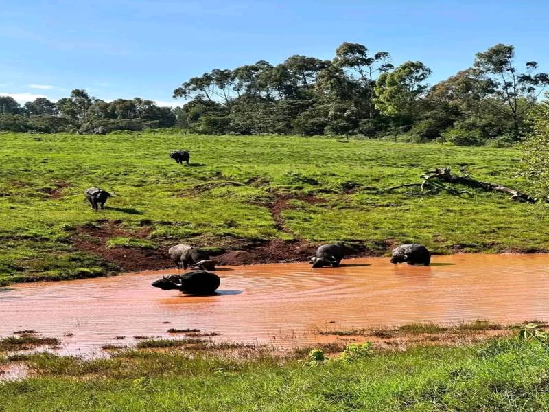 Masai Mara 4 Days Package