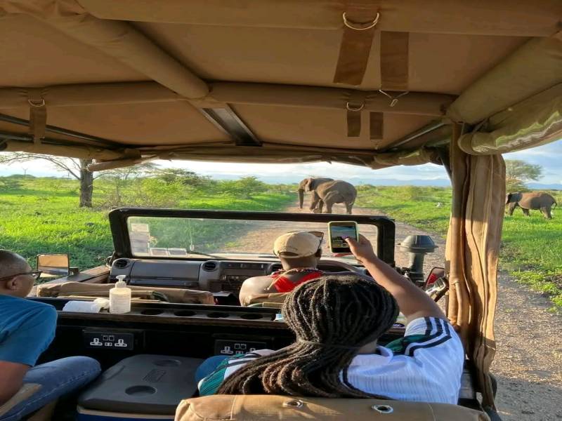 Masai Mara 4 Days Package