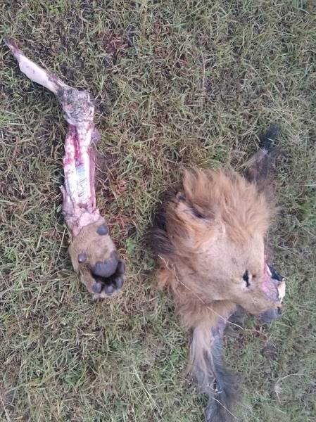 Masai Mara 4 Days Package