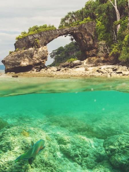 Romantic Andaman Honeymoon Packages 03 Nights - 04 Days