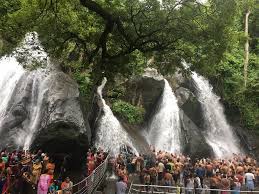 Madurai to Kutralam & Papanasam Luxury Tour (2N/3D) 12+1 Seater Luxury Tempo Traveller