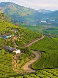 Sirumalai Luxury Getaway: 1 Night / 2 Days Premium Sedan Service Image