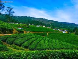 1 Day Express Tour Madurai – Thekkady – Madurai