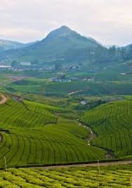 Luxury 1-Day Innova Crysta Express: Madurai to Thekkady Image