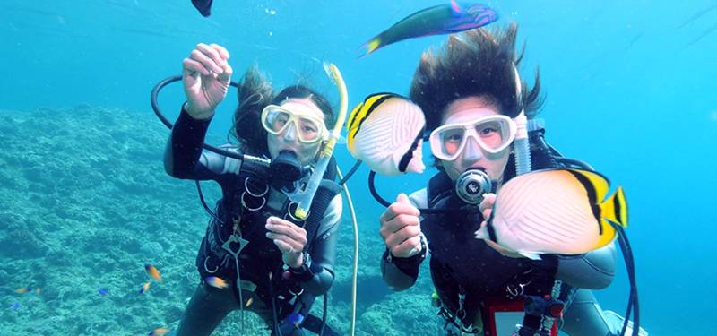 1Day Scuba Diving With Water Sports At Malvan Tour Image