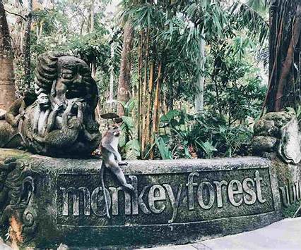 1Day Ubud Monkey Forest Tour
