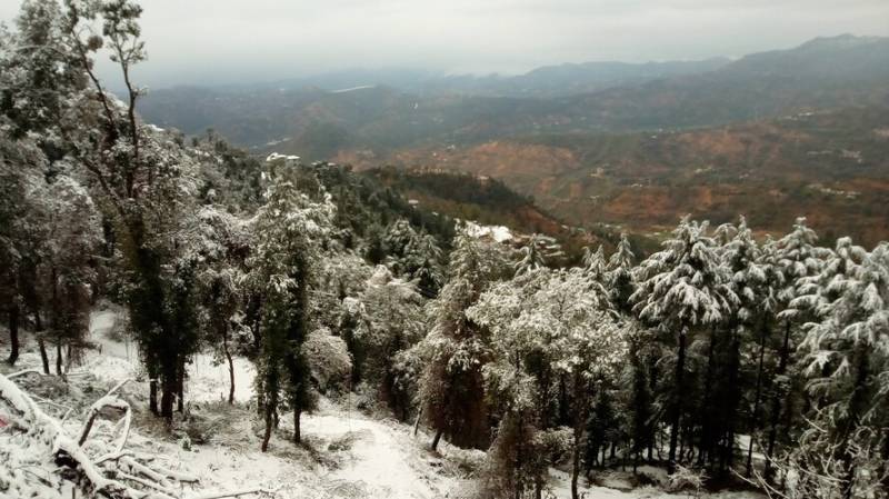 5nights 6days Shimla Manali Package Image