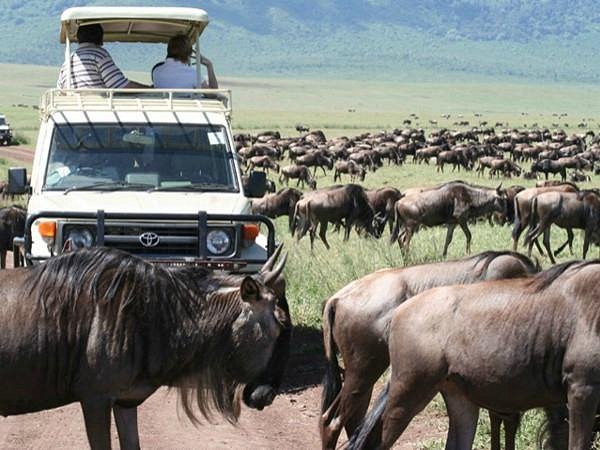 5-Day Honeymoon Safari Getaway Tour
