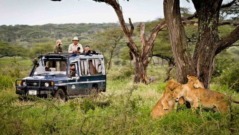 8-Day Honeymoon Safari Escape Tour