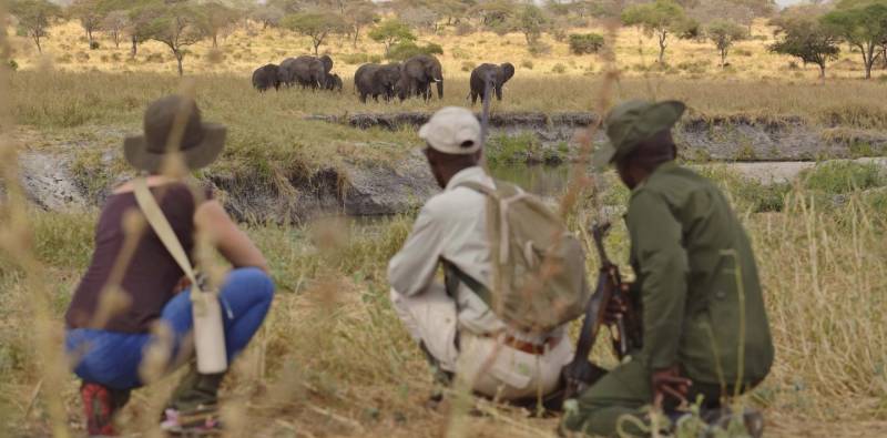 4 Days Tanzania Walking Safari Tour