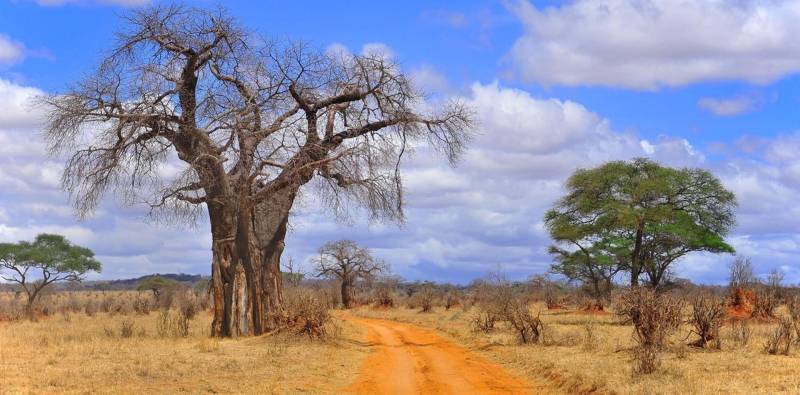 8 Days Tanzania Big Five Safari Tour Image