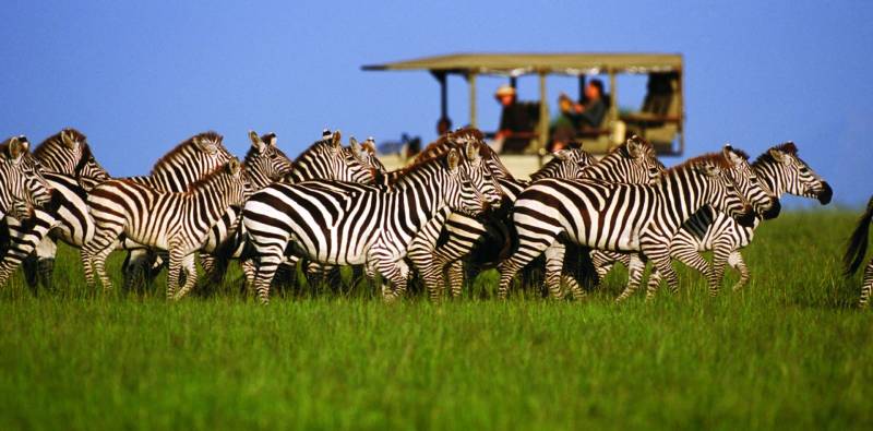 5 Days Tanzania Lodge Safari Tour Image