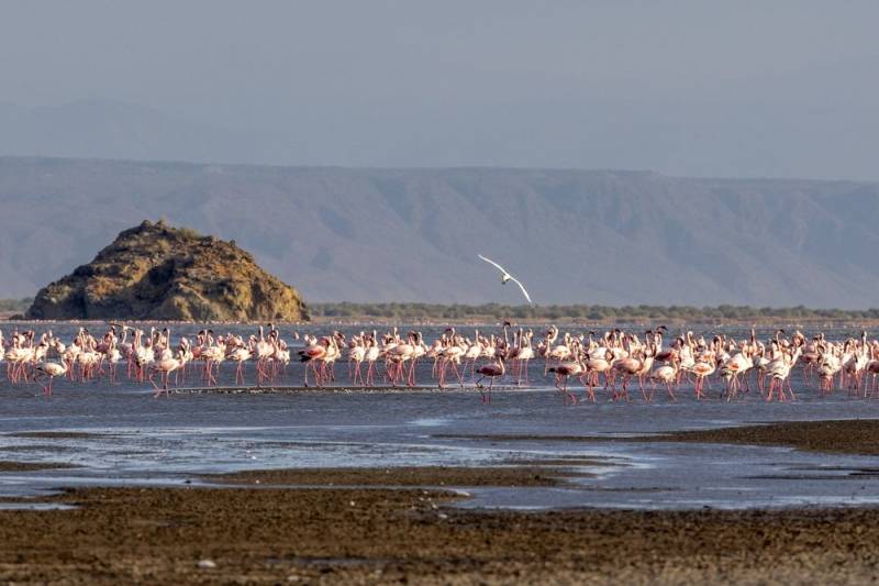 10 Days Ultra-Luxury Tanzania Safari Tour Image