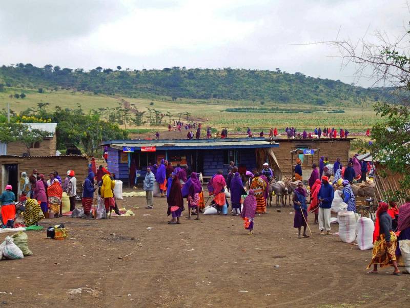 9 Days Serengeti Wildebeest Migration Safari