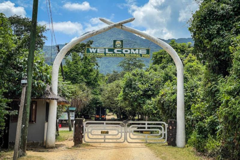 8 Days in Udzungwa Mountains