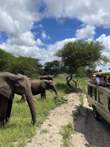 5 Days Tanzania Lodge Safari Tour