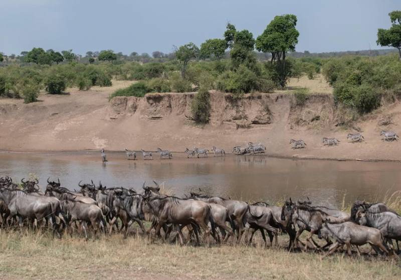 9 Days Serengeti Wildebeest Migration Safari
