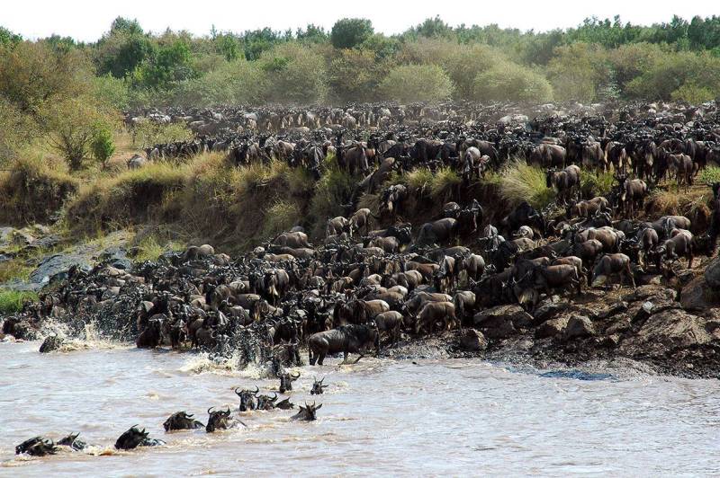 9 Days Serengeti Wildebeest Migration Safari