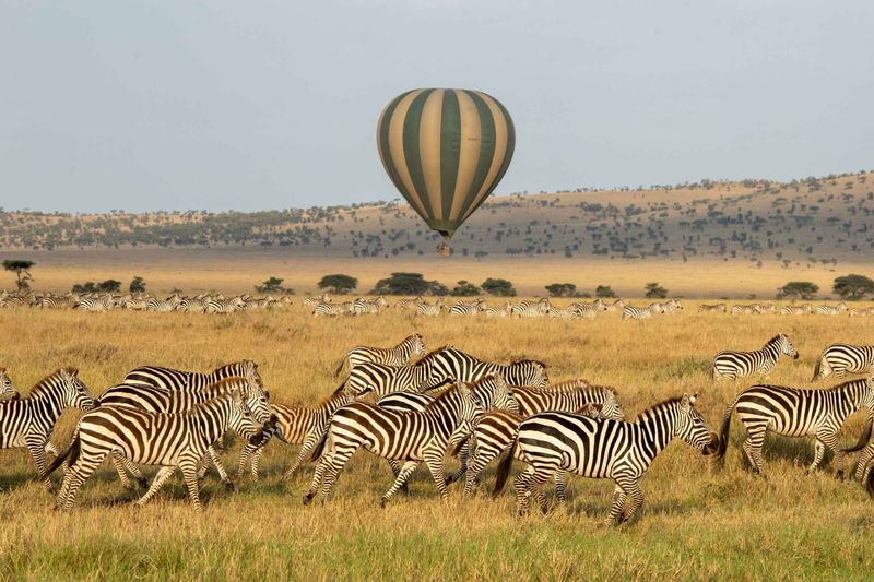 9 Days Serengeti Wildebeest Migration Safari