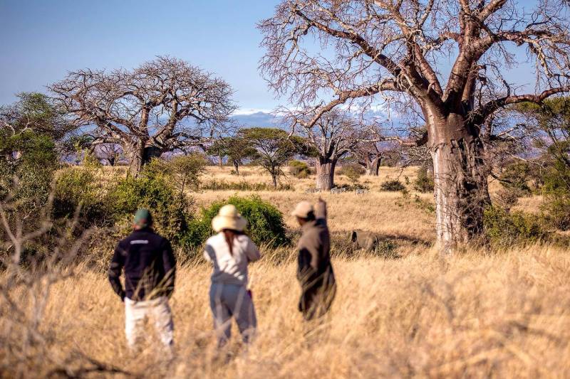4 Days Tanzania Walking Safari