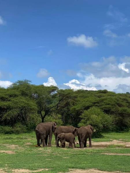 From Turquoise Shores To Endless Savannas - A Twelve-Day Luxury Escape Tour