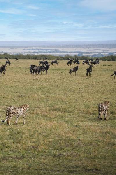 From Turquoise Shores To Endless Savannas - A Twelve-Day Luxury Escape Tour